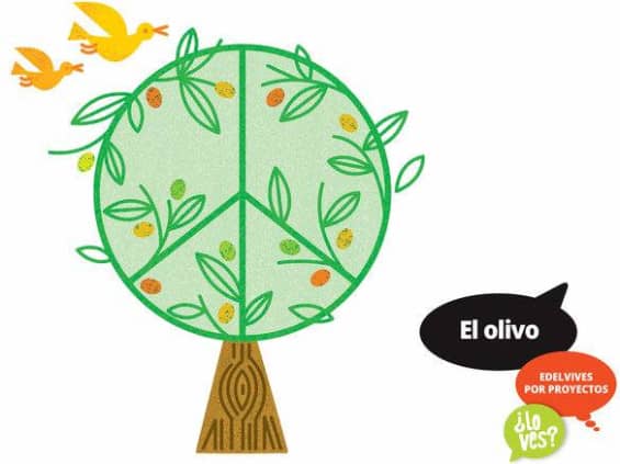 Proyecto ¿Lo ves? : El olivo