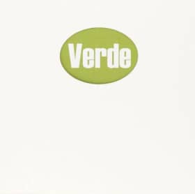 EL LIBRO VERDE DE LAS INCAPACIDADES LABORALES