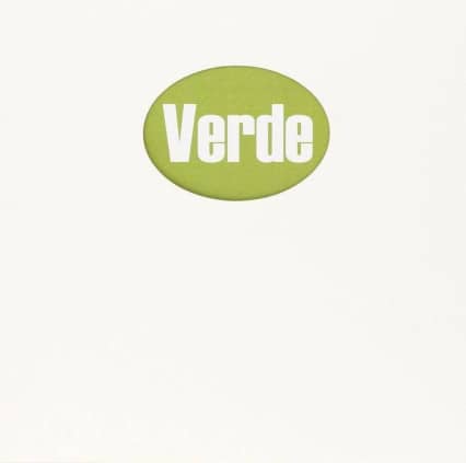 EL LIBRO VERDE DE LAS INCAPACIDADES LABORALES