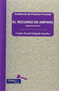 EL RECURSO DE AMPARO
