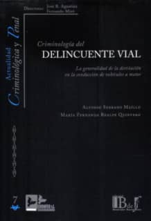 CRIMINOLOGIA DEL DELINCUENTE VIAL