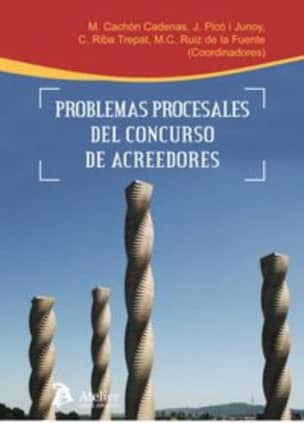Problemas procesales del concurso de acreedores.