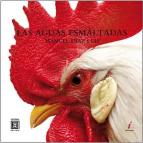 Las Aguas Esmaltadas