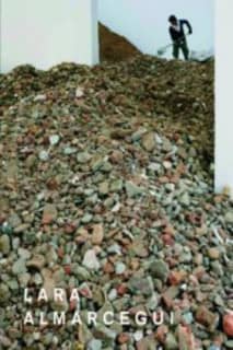 Lara Almarcegui