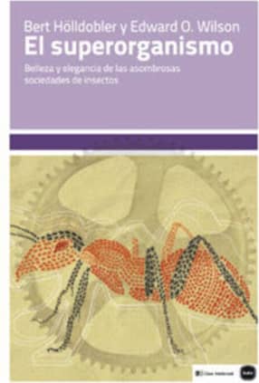 El superorganismo