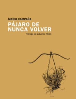 Pájaro de nunca volver