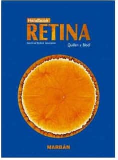 Retina