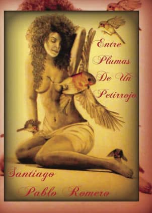 Entre Plumas de un Petirrojo