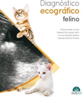 Diagnóstico ecográfico en el gato