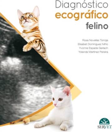 Diagnóstico ecográfico en el gato