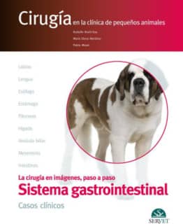 El aparato digestivo. CASOS CLÍNICOS. Cirugía en la clínica de pequeños animales