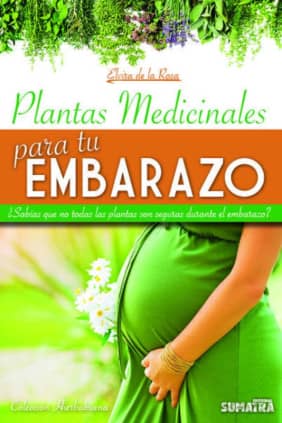 Plantas medicinales para tu embarazo