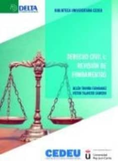 Derecho Civil: Revisión de Fundamentos