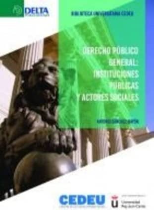 Derecho Público General: Instituciones Públicas y Actores Sociales