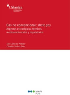 Gas no convencional: shale gas