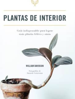 Plantas de interior