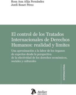 El control de los Tratados Internacionales de Derechos Humanos: realidad y límites.