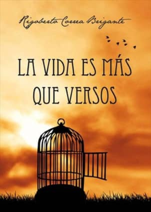 LA VIDA ES MÁS QUE VERSOS