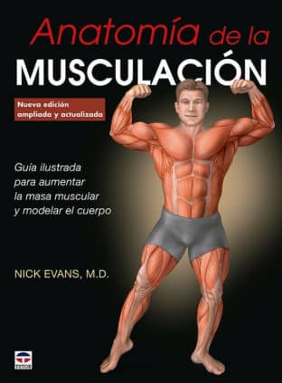 Anatomía de la musculación