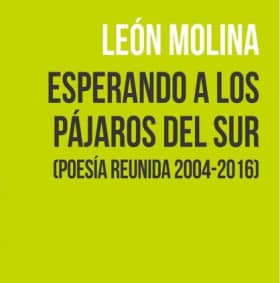 Esperando a los pájaros del Sur