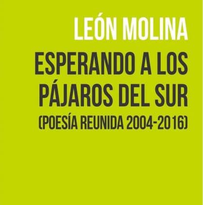 Esperando a los pájaros del Sur