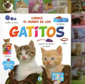 CONOCE EL MUNDO DE LOS GATITOS