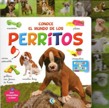 CONOCE EL MUNDO DE LOS PERRITOS