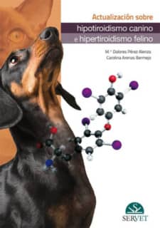 Actualización sobre hipotiroidismo canino e hipertiroidismo felino