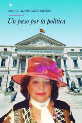 Un paso por la política