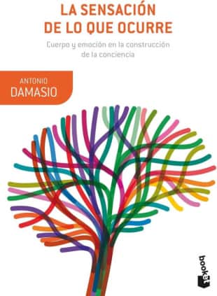 La sensación de lo que ocurre