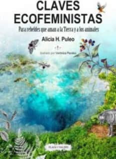 CLAVES ECOFEMINISTAS