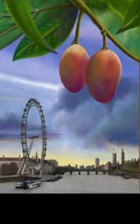 EL AROMA DE LOS MANGOS