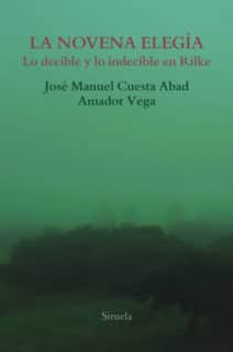 La novena elegía