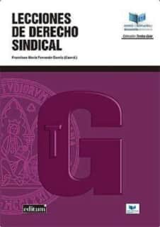 Lecciones de Derecho Sindical. 1ª Ed.