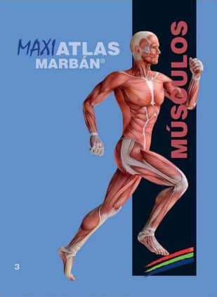 Maxi Atlas 3 Músculos