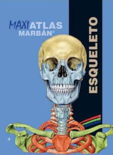 Maxi Atlas 4 Esqueleto