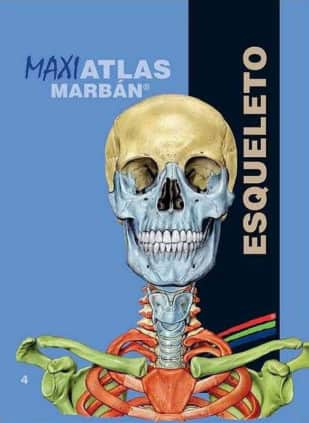 Maxi Atlas 4 Esqueleto