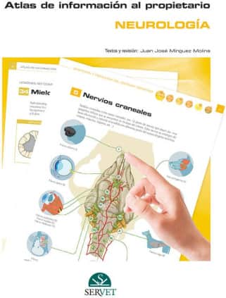 Atlas de información al propietario. Neurología