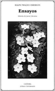 Ensayos