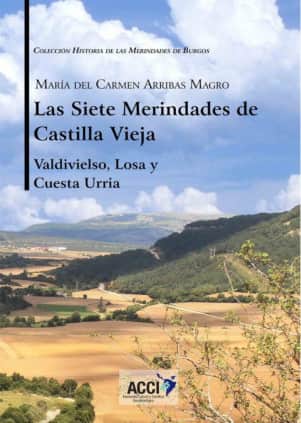 Las siete Merindades de Castilla Vieja - Tomo II