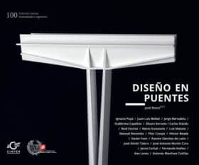 DISEÑO EN PUENTES