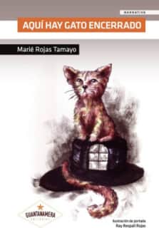 Aquí hay gato encerrado