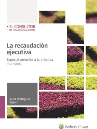 LA RECAUDACION EJECUTIVA