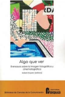 Algo que ver. 8 ensayos sobre la imagen fotográfica y cinematográfica.