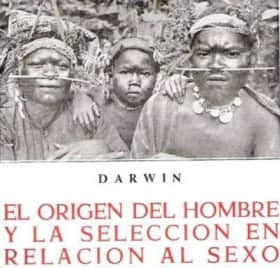 EL ORIGEN DEL HOMBRE Y LA SELECCION EN RELACION AL SEXO