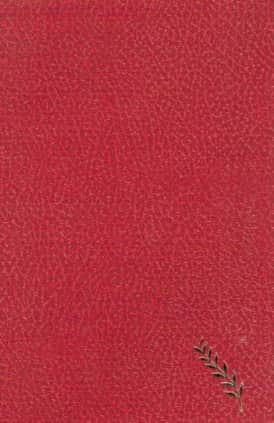 DON QUIJOTE DE LA MANCHA