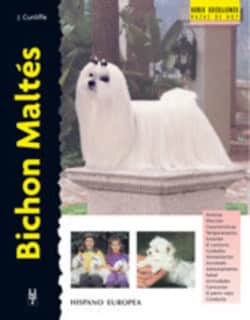 Bichon Maltés