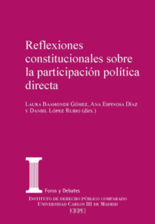 Reflexiones constitucionales sobre la participación política directa