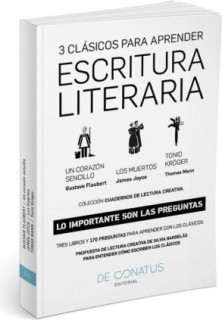 Escritura Literaria