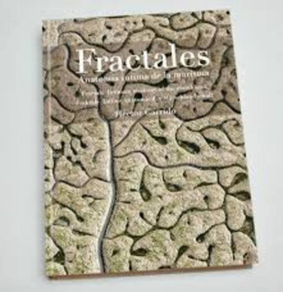Fractales